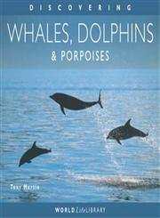 Stock image for Discovering Whales, Dolphins and Porpoises (Worldlife Library) for sale by WorldofBooks