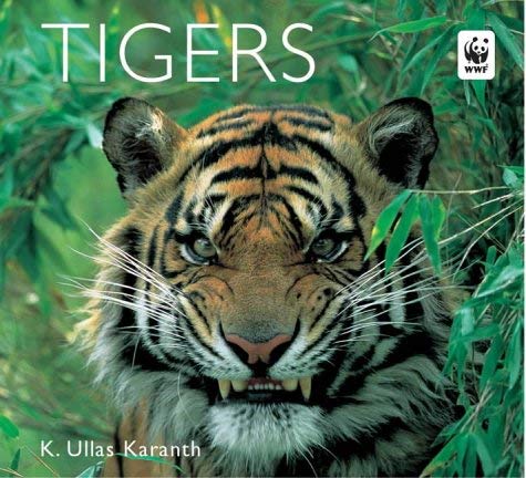 Imagen de archivo de Tigers (WorldLife library special) a la venta por Reuseabook