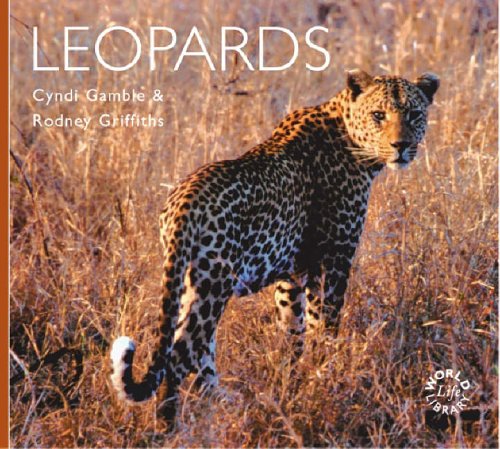 Imagen de archivo de Leopards (Worldlife Library Special) a la venta por WorldofBooks