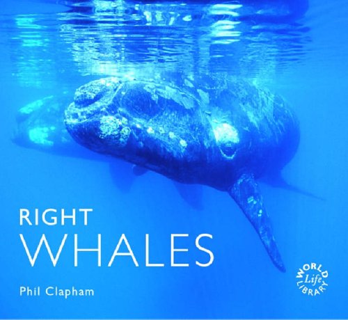 9781841072555: Right Whales (Worldlife Library)