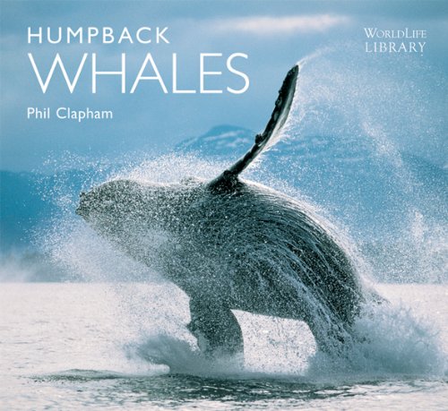 Stock image for Humpback Whales for sale by HPB-Red
