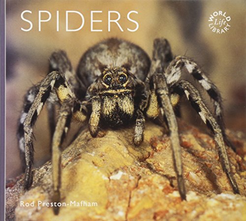 Beispielbild fr Spiders (World Life Library) zum Verkauf von WorldofBooks