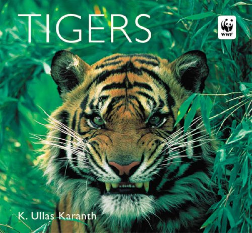 Beispielbild fr Tigers (Worldlife Library Special) zum Verkauf von AwesomeBooks