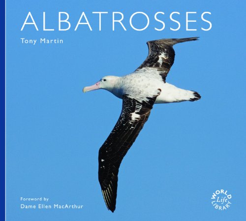 Imagen de archivo de Albatrosses (Worldlife Library) a la venta por PlumCircle