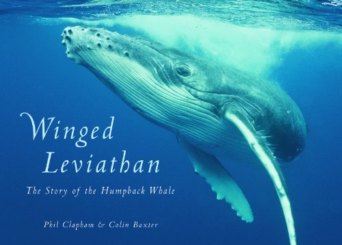 Beispielbild fr Winged Leviathan: The Story of the Humpback Whale zum Verkauf von Goodwill Books