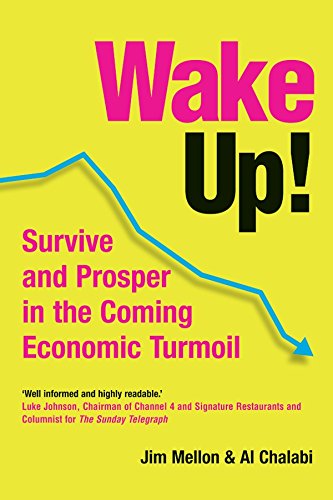 Imagen de archivo de Wake Up!: Survive and Prosper in the Coming Economic Turmoil a la venta por Sigrun Wuertele buchgenie_de