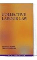 9781841130965: Collective Labour Law