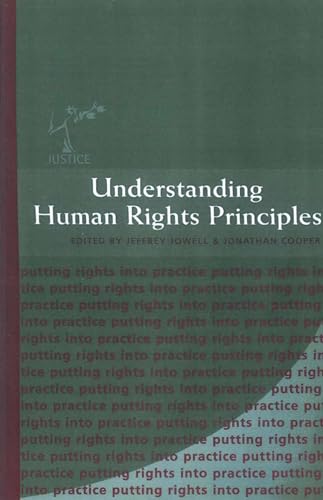 9781841131696: Understanding Human Rights Principles: 4 (The Justice Series - Putting Rights into Practice)