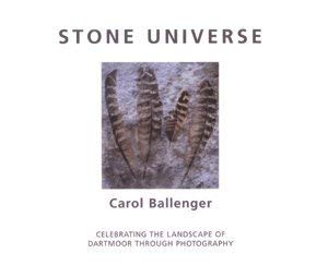 Beispielbild fr Stone Universe zum Verkauf von AwesomeBooks