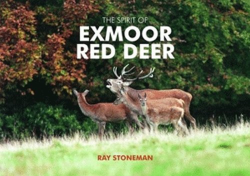 Beispielbild fr The Spirit of Exmoor Red Deer zum Verkauf von WorldofBooks