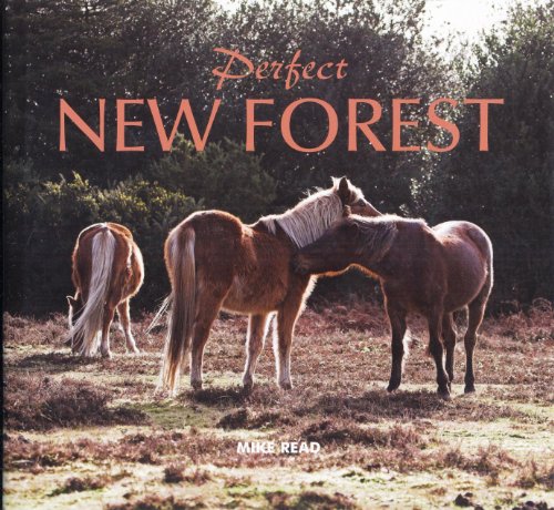 Imagen de archivo de Perfect New Forest a la venta por WorldofBooks