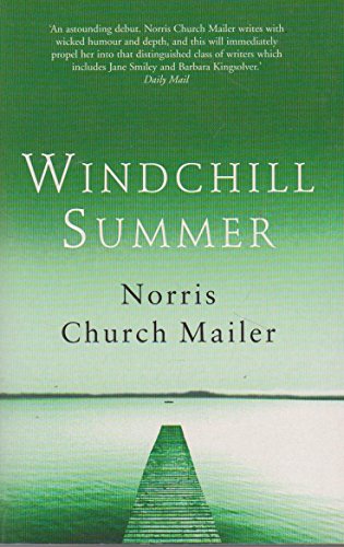 9781841151496: Windchill Summer