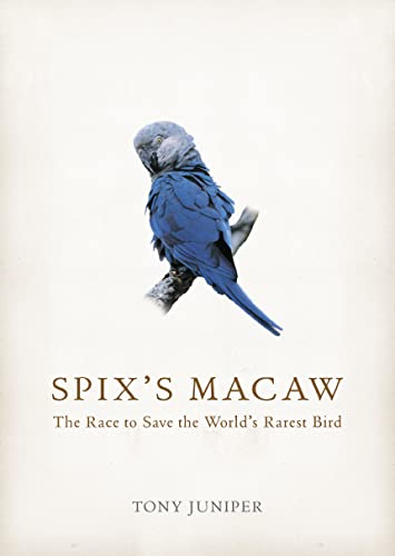 Stock image for Spixs Macaw: The Race to Save the Worlds Rarest Bird for sale by WorldofBooks