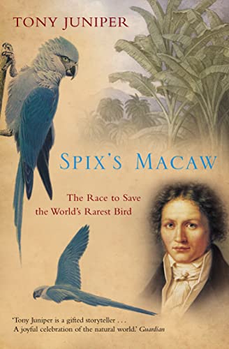 Beispielbild fr Spix's Macaw: The Race to Save the World's Rarest Bird zum Verkauf von SecondSale