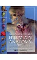 Imagen de archivo de The New Atlas of Human Anatomy a la venta por WorldofBooks