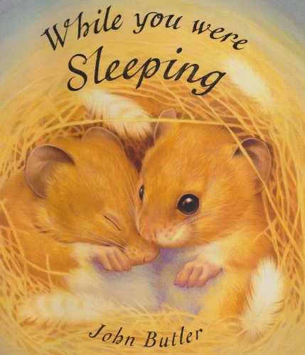 Beispielbild fr While You Were Sleeping (Picture Books) zum Verkauf von AwesomeBooks