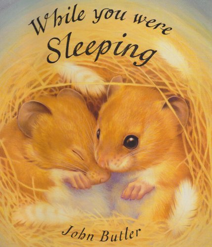 While You Were Sleeping (Picture Books) (9781841211411) by John Butler