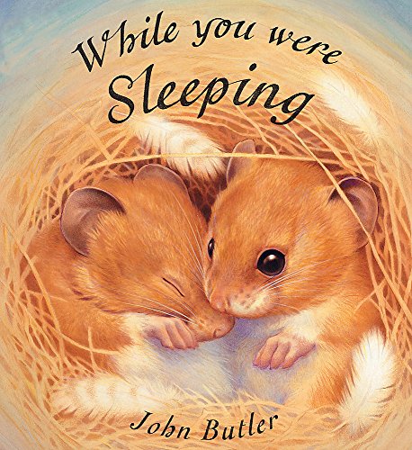 Beispielbild fr While You Were Sleeping zum Verkauf von Better World Books