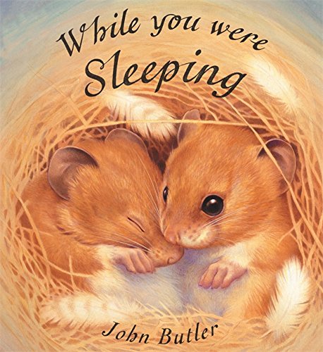 Stock image for While You Were Sleeping for sale by Better World Books