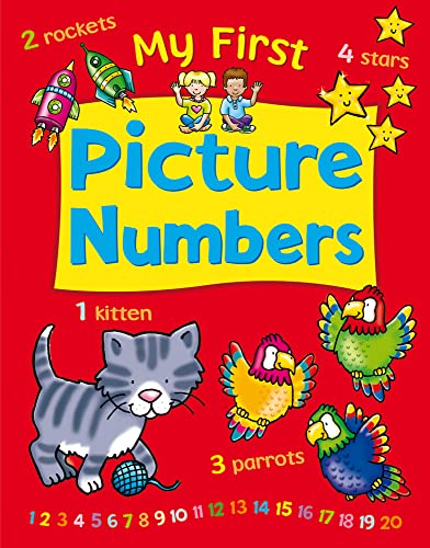 Stock image for My First Picture Numbers for sale by medimops