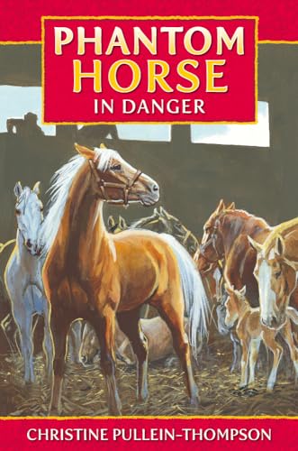 Imagen de archivo de Phantom Horse 4: Phantom Horse in Danger a la venta por AwesomeBooks