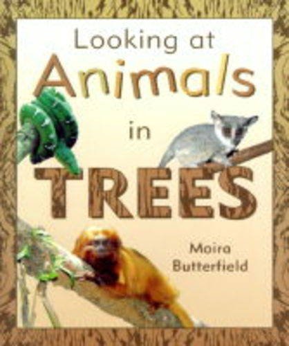 Looking at Animals in Trees (Looking at Animals) (9781841381473) by Butterfield, Moira