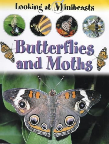 Stock image for MINIBEASTS BUTTERFLIES & MOTHS for sale by WorldofBooks