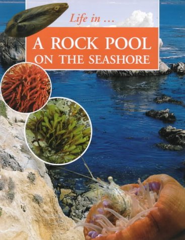 Life in A... a Rockpool on the Seashore (Life in) (9781841381725) by Morgan, Sally