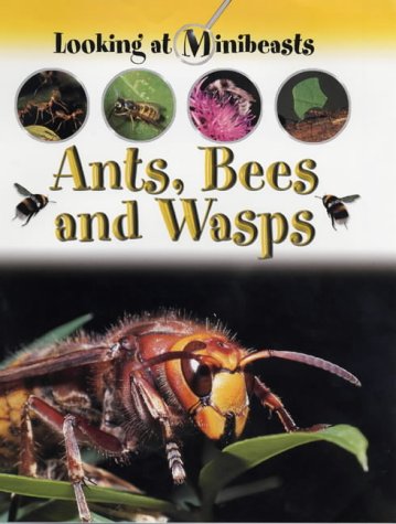 Ants, Bees and Wasps (Looking at Minibeasts) (9781841383491) by Sally Morgan