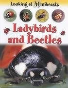 Beispielbild fr MINIBEASTS LADYBIRDS & BEETLES zum Verkauf von WorldofBooks
