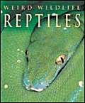 Reptiles (9781841387871) by Jen Green