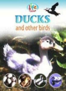 Ducks and Other Birds (Life Cycles) (9781841388649) by Sally Morgan