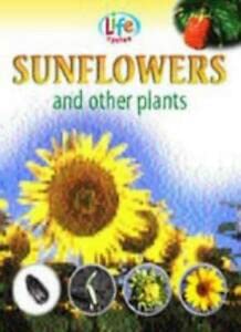 Sunflowers and Other Plants (Life Cycles) (9781841388663) by Sally Morgan