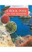 Beispielbild fr A Rockpool on the Seashore (Life in a . S.) zum Verkauf von WorldofBooks