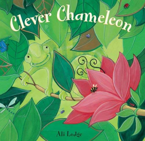 9781841483467: Clever Chameleon