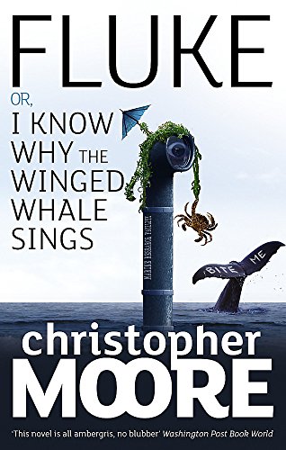 9781841496177: Fluke: Or, I Know Why the Winged Whale Sings
