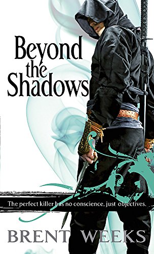 Imagen de archivo de Beyond The Shadows a la venta por Wonder Book