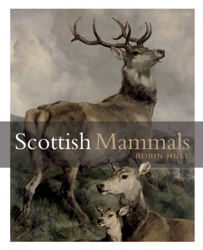 Stock image for Scottish Mammals for sale by WorldofBooks