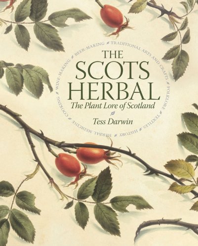 9781841587110: The Scots Herbal: The Plant Lore of Scotland