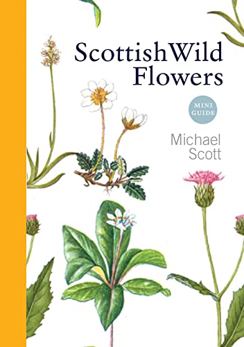 9781841589541: Scottish Wild Flowers (Mini Guide)