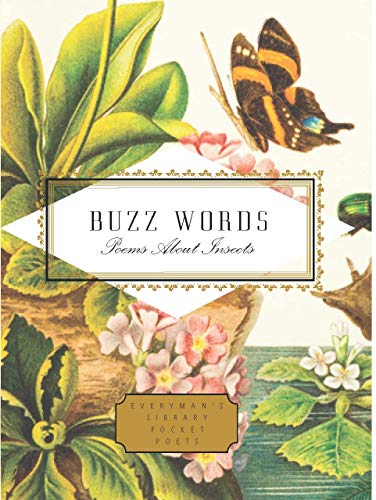 9781841598215: Buzz Words: Poems About Insects (Everyman's Library POCKET POETS)