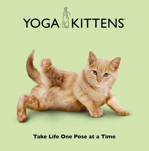 Beispielbild fr Yoga Kittens: Take Life One Pose at a Time zum Verkauf von WorldofBooks