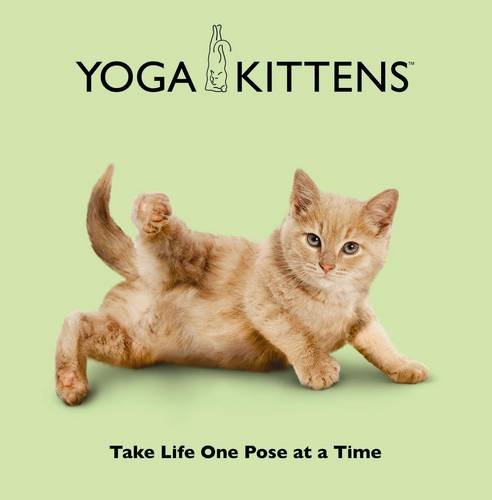 9781841613628: Yoga Kittens: Take Life One Pose at a Time