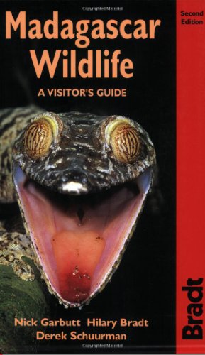 Stock image for Madagascar Wildlife: A Visitor's Guide (Bradt Travel Guide Madagascar Wildlife) (Bradt Wildlife Guides) for sale by WorldofBooks