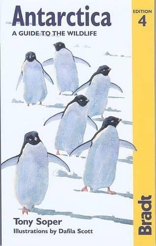Stock image for Antarctica: A Guide to the Wildlife (Bradt Wildlife Guides) for sale by Front Cover Books