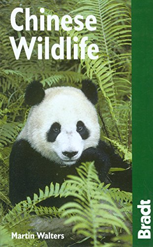 9781841622200: Chinese Wildlife (Bradt Wildlife Guides)