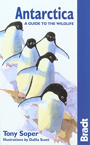 9781841622385: Antarctica: A Guide to the Wildlife (Bradt Wildlife Guides)