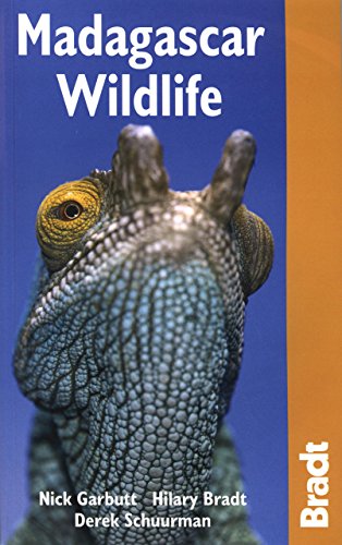 Stock image for Madagascar Wildlife (Bradt Wildlife Guides) for sale by SecondSale