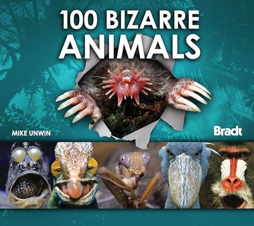 Beispielbild fr 100 Bizarre Animals zum Verkauf von Better World Books