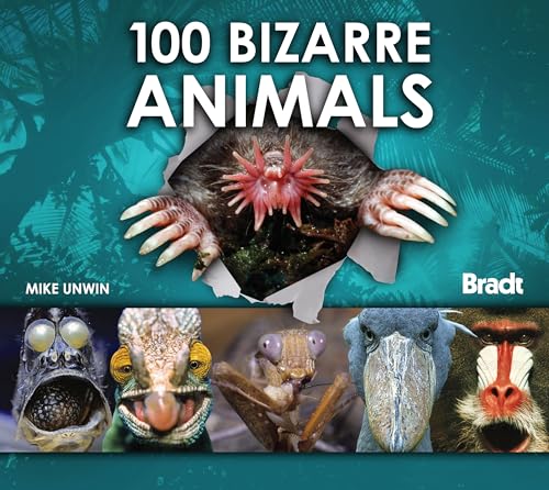 Stock image for 100 Bizarre Animals for sale by Better World Books